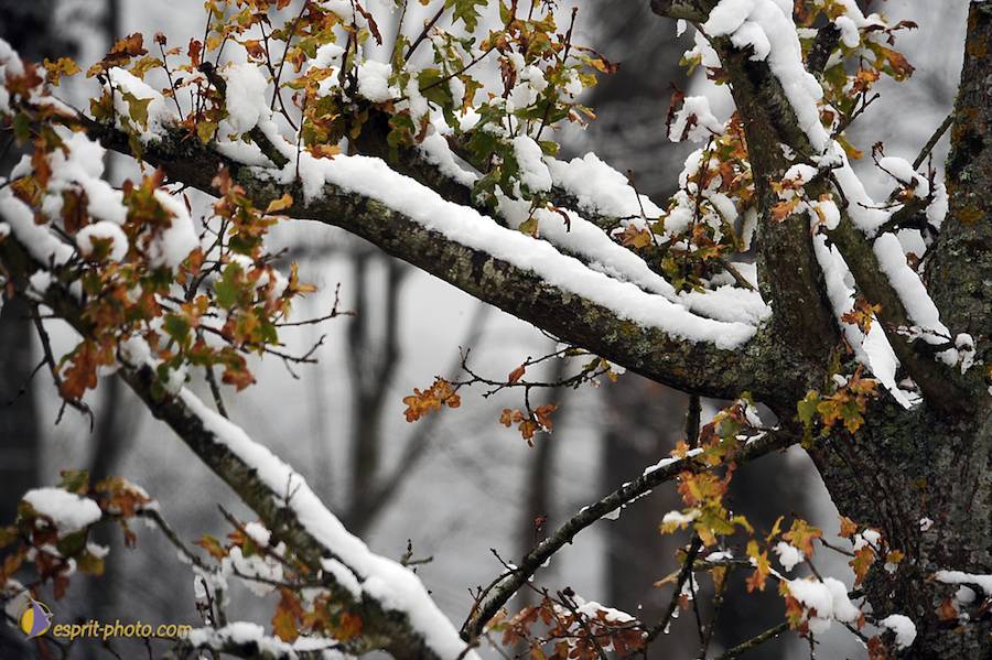 Nom de l'image : D30038057_1_(c)Norbert-JUNG — Description :